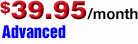 Advanced Hosting Plan