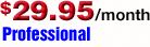 Professional Hosting Plan
