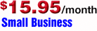 Small Business Plan